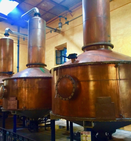 Destilados de ágave y cómo conocer la calidad.